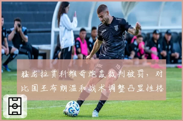 猛龙拉贾科维奇炮轰裁判被罚，对比国王布朗温和战术调整凸显性格差异