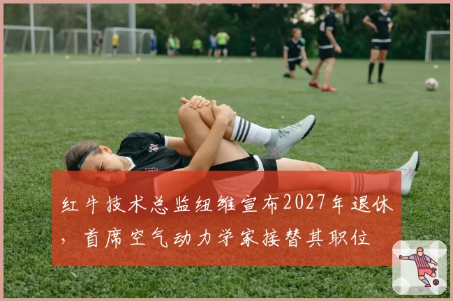 红牛技术总监纽维宣布2027年退休，首席空气动力学家接替其职位