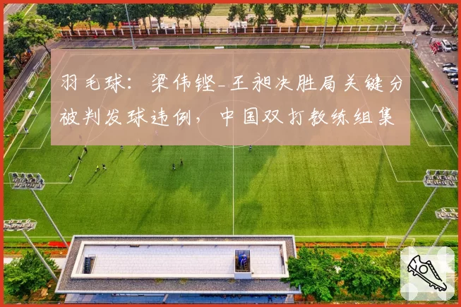 羽毛球：梁伟铿_王昶决胜局关键分被判发球违例，中国双打教练组集体申诉失败