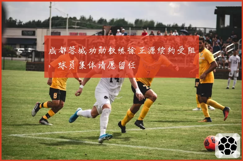 成都蓉城功勋教练徐正源续约受阻，球员集体请愿留任