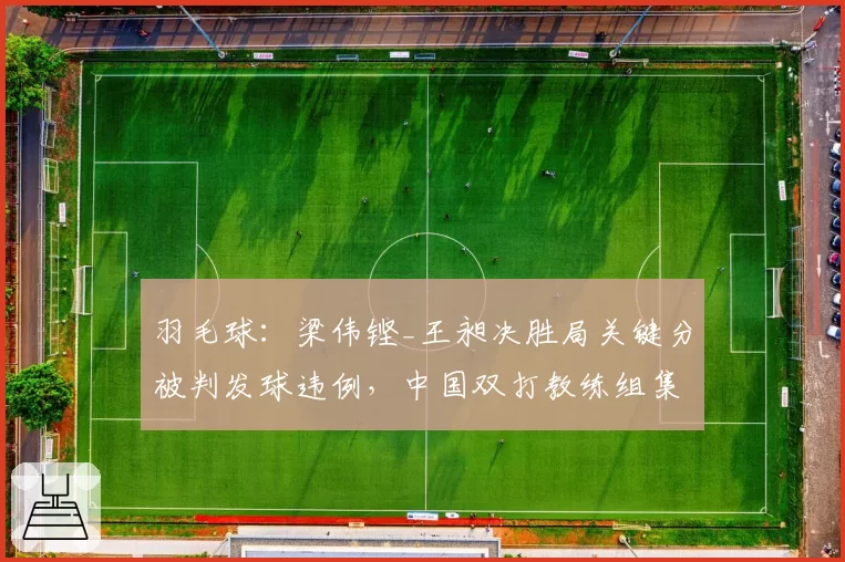 羽毛球：梁伟铿_王昶决胜局关键分被判发球违例，中国双打教练组集体申诉失败