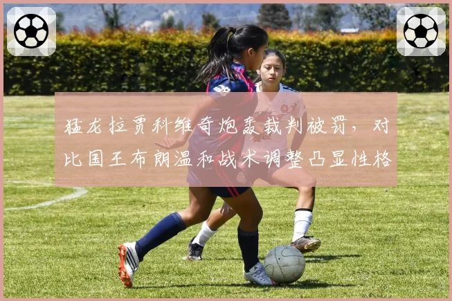 猛龙拉贾科维奇炮轰裁判被罚，对比国王布朗温和战术调整凸显性格差异