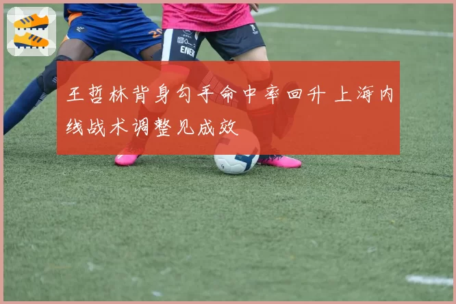 王哲林背身勾手命中率回升 上海内线战术调整见成效